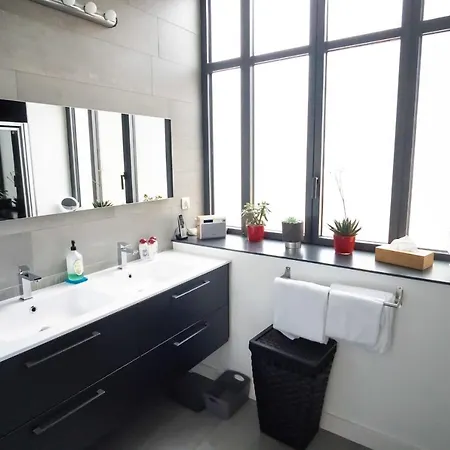 Apartment Guestready - Modern Loft In Nancy