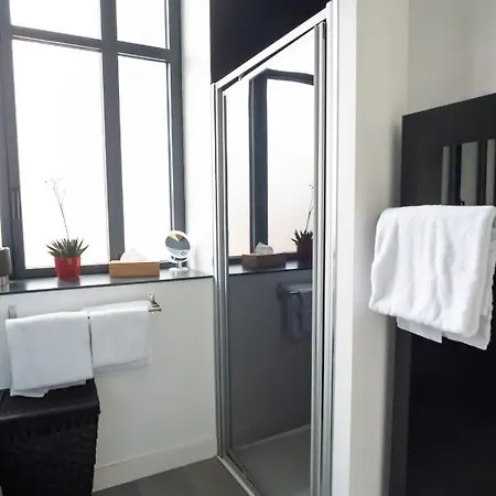 Apartment Guestready - Modern Loft In Nancy